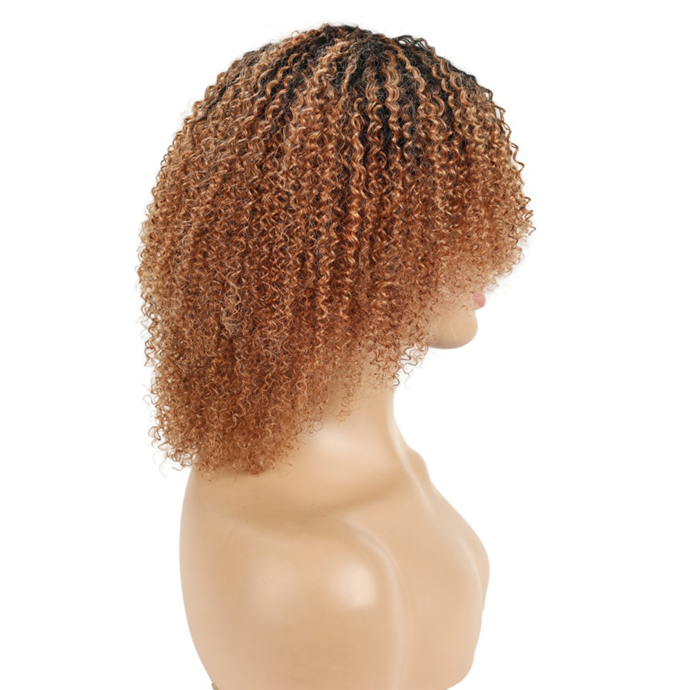 페루산 헤어 아프로 킹키 컬리 픽시컷 숏 보브 탄력 있 - Short Pixie Cut Wig Human Hair Cheap 리뷰 및 가격